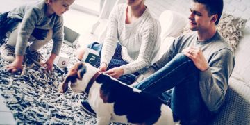 Non-Sporting Dog Breeds: Profiles and Temperament for US Owners in 2025 - Cover Image