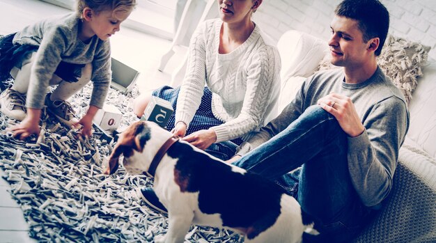 Non-Sporting Dog Breeds: Profiles and Temperament for US Owners in 2025
