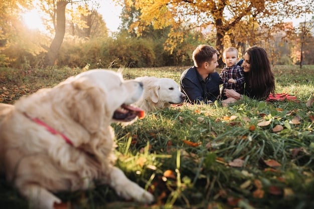 Designer Dog Breeds in 2025: Profiles & Ethical Guide