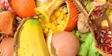 Shocking Food Waste: Americans Toss 150,000 Tons Daily! - Cover Image