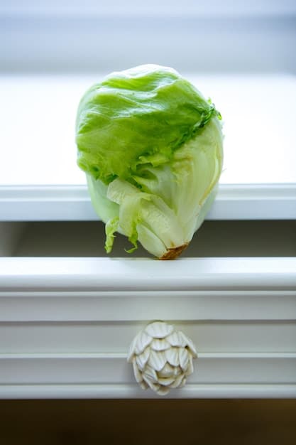 Close-up shot of a wilting head of lettuce in a refrigerator, emphasizing consumer-level food waste due to improper storage and forgotten produce.