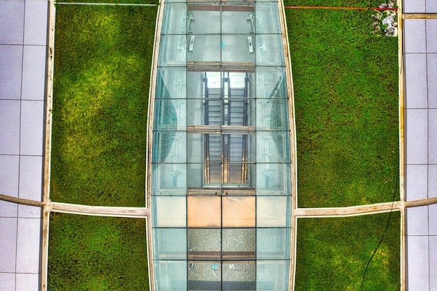 Unveiling New Tax Incentives for Green Businesses: What’s the Catch?