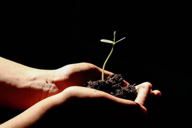 A close-up of a hand planting a seedling in fertile soil, symbolizing sustainable growth and genuine commitment to environmental responsibility. The image highlights the importance of authenticity in green business practices and avoiding greenwashing.