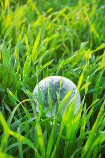 A detailed close-up shot of a golf ball resting on the perfectly cut green of a US golf course. Dew drops glisten on the grass, and the focus is sharp on the texture and details of both the ball and the green. This supports the section 'The Sheer Scale: Unbelievable! The US Has Over 18,000 Golf Courses'.